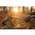 NS BIKES SYNONYM DC