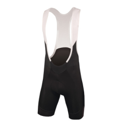 Endura FS260-Pro SL Bibshort E4024