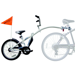 WeeRide Co Pilot