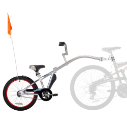 WeeRide Co Pilot