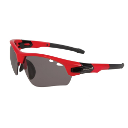Endura Char e1138