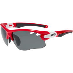 Goggle E865-3