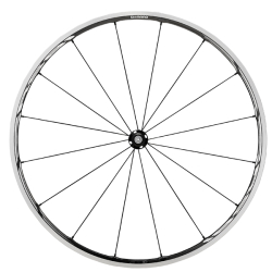Shimano Koło Przód WHRS81-C24-CL Drutówka