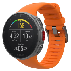 Polar VANTAGE V