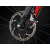 Trek DOMANE + EU rozm. 60 cm
