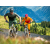Endura Singletrack Core T E3196