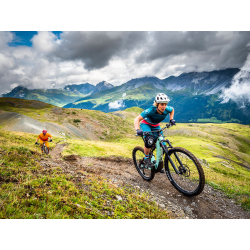 Endura SingleTrack Print T E6192