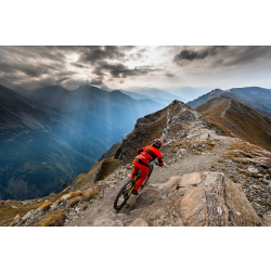 Endura MT500 Supercraft L/S damska E3219