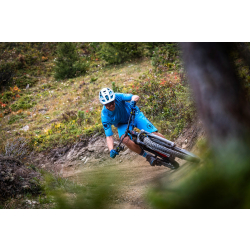 Endura SingleTrack Print Tee LTD E3220