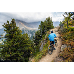 Endura SingleTrack Print Tee LTD E3220