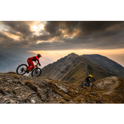 Endura MT500 Supercraft L/S damska E3219