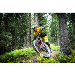 Endura MT500 Scenic L/S Tee LTD E3222