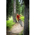 Endura MT500 Supercraft L/S damska E3219