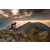 Endura MT500 Supercraft L/S damska E3219