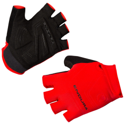 Endura Xtract E1281