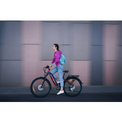 Overfly Muse Plus 17,5AH / 630WH