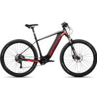 Ebike