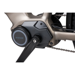 Spectre  MTB CONCEPT X1.0 20