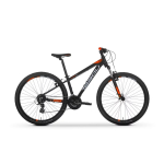 MTB