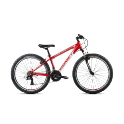 ROMET Rambler R9.1