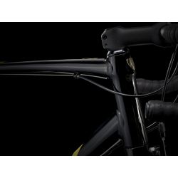 Trek Domane AL 2 RIM