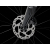 Trek Domane AL 5 Gen 4
