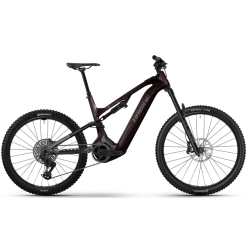 Haibike ALLMTN CF 9