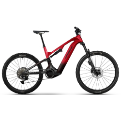 Haibike ALLMTN CF 9.5 ABS