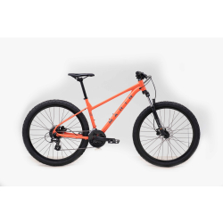 MARIN WILDCAT TRAIL 2