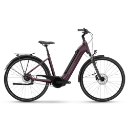 Winora Tria N5
