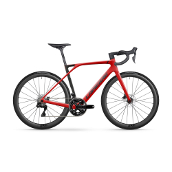 XELIUS SL 9.0 2024